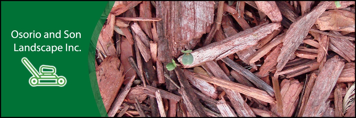 Mulching and Soil